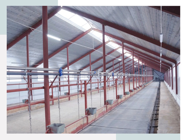 Строительство коровников в Дальнереченске от 611 руб.