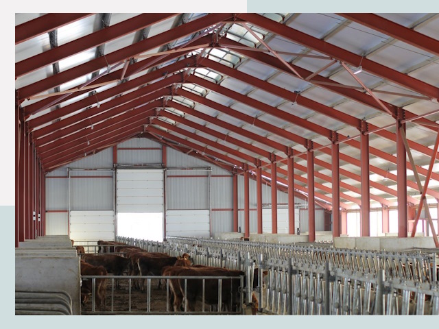 Строительство коровников в Дальнереченске