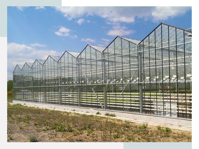 Строительство теплиц в Дальнереченск от 611 руб. за м²