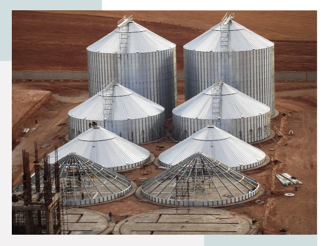 Строительство зерновых силосов в Дальнереченске